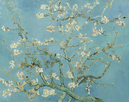van gogh
